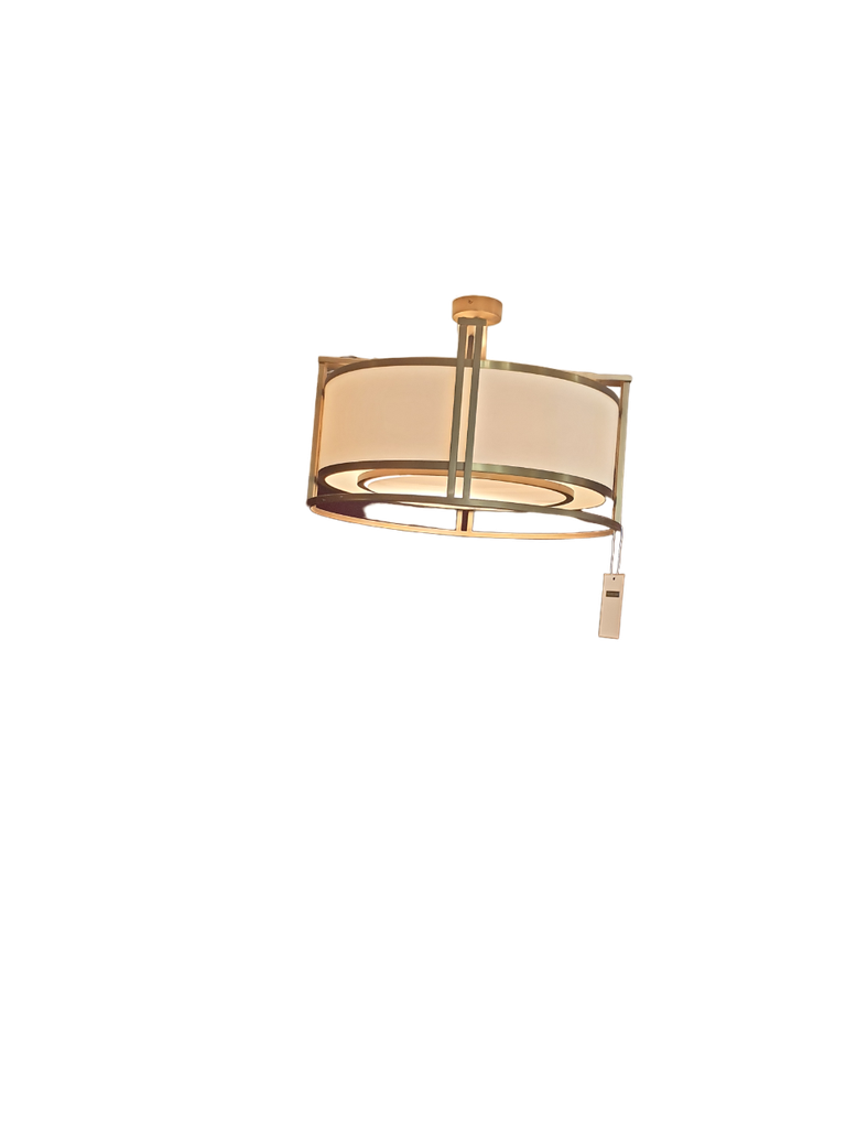 Celing Light 