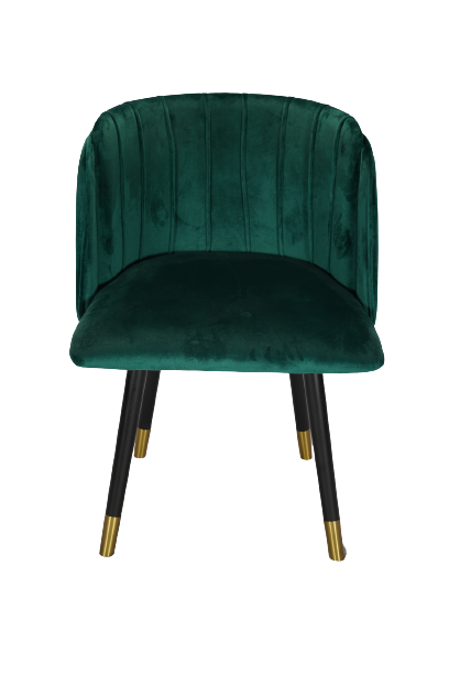 Dining Chair Green